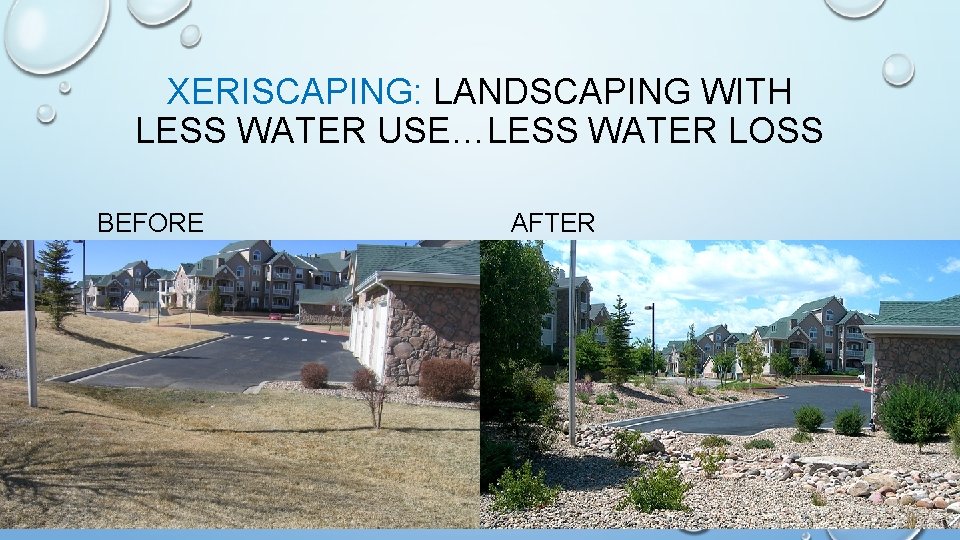 XERISCAPING: LANDSCAPING WITH LESS WATER USE…LESS WATER LOSS BEFORE AFTER 