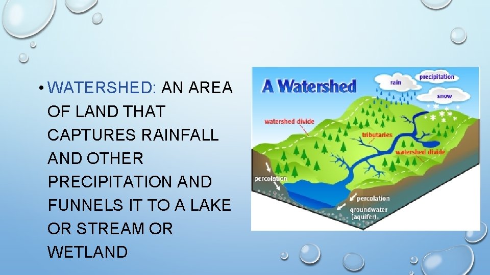  • WATERSHED: AN AREA OF LAND THAT CAPTURES RAINFALL AND OTHER PRECIPITATION AND