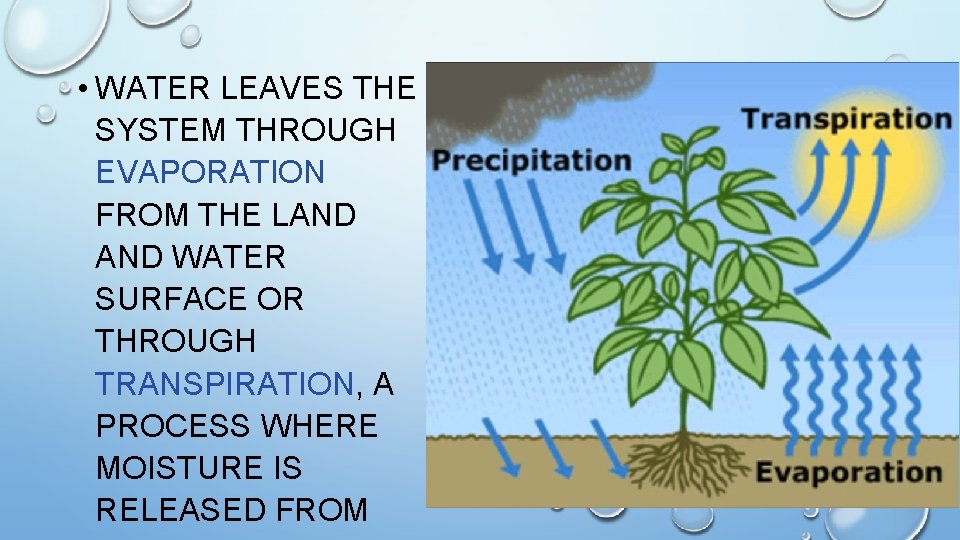  • WATER LEAVES THE SYSTEM THROUGH EVAPORATION FROM THE LAND WATER SURFACE OR