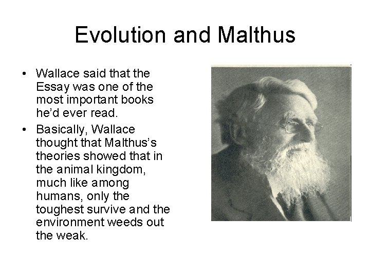 Evolution and Malthus • Wallace said that the Essay was one of the most