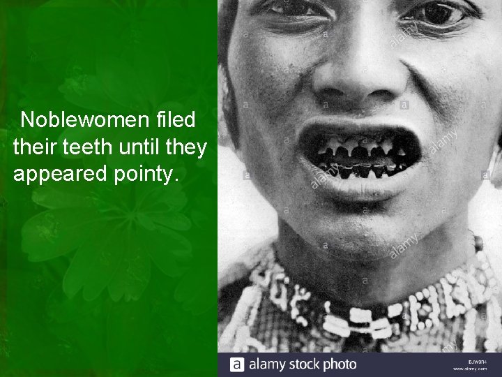 Noblewomen filed their teeth until they appeared pointy. 