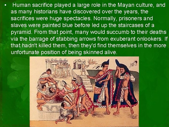  • Human sacrifice played a large role in the Mayan culture, and as