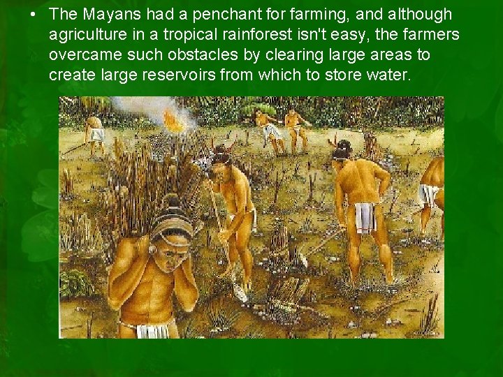  • The Mayans had a penchant for farming, and although agriculture in a