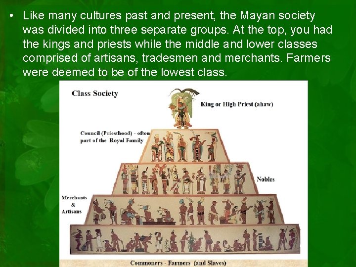  • Like many cultures past and present, the Mayan society was divided into