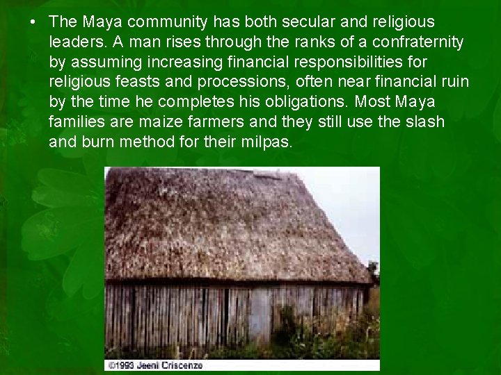  • The Maya community has both secular and religious leaders. A man rises