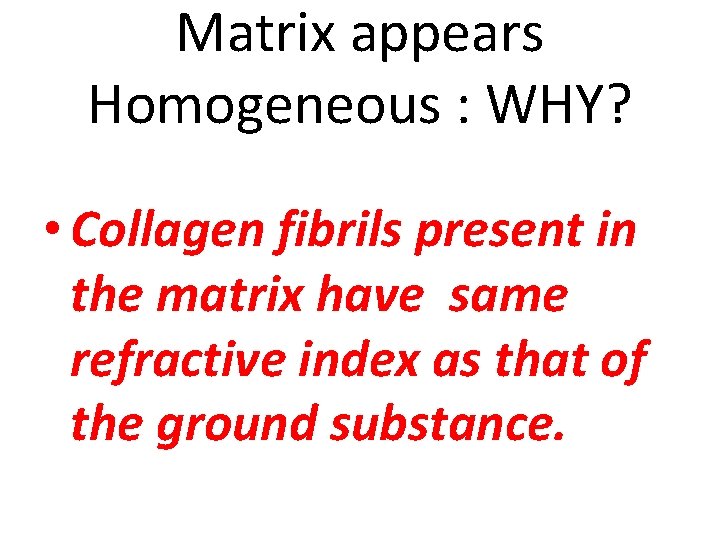 Matrix appears Homogeneous : WHY? • Collagen fibrils present in the matrix have same