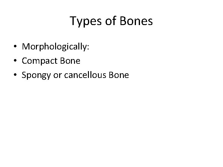 Types of Bones • Morphologically: • Compact Bone • Spongy or cancellous Bone 