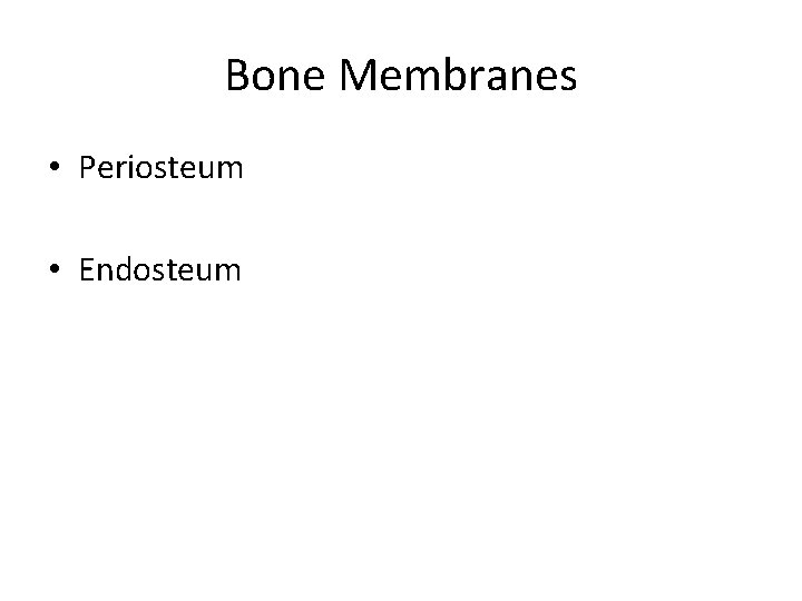 Bone Membranes • Periosteum • Endosteum 