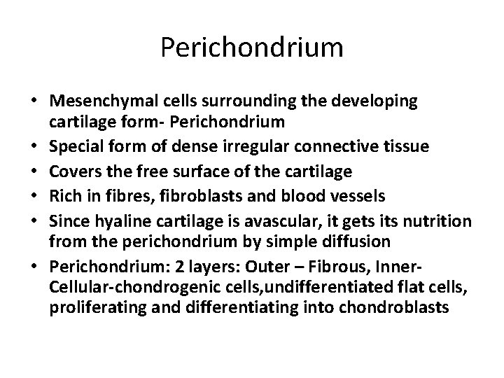 Perichondrium • Mesenchymal cells surrounding the developing cartilage form- Perichondrium • Special form of