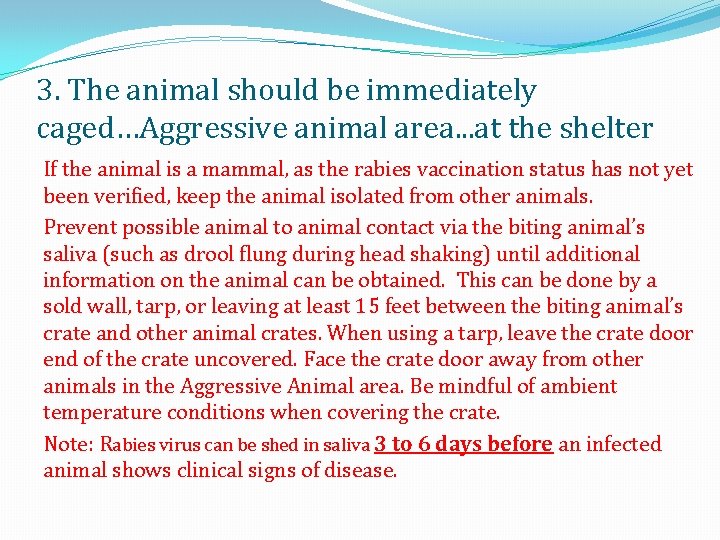 3. The animal should be immediately caged…Aggressive animal area. . . at the shelter