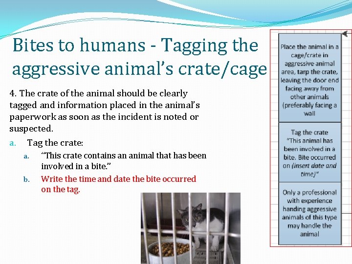 Bites to humans - Tagging the aggressive animal’s crate/cage 4. The crate of the