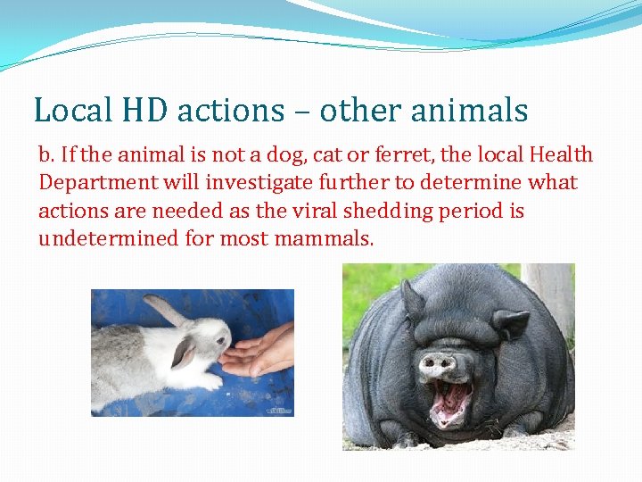 Local HD actions – other animals b. If the animal is not a dog,