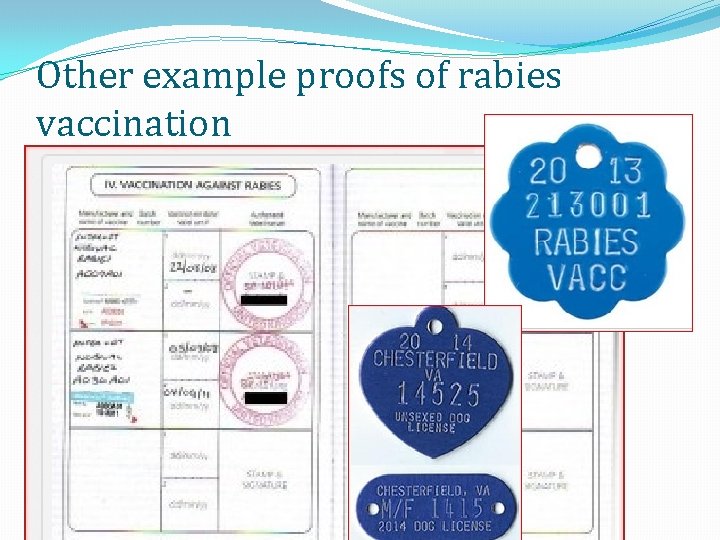 Other example proofs of rabies vaccination 