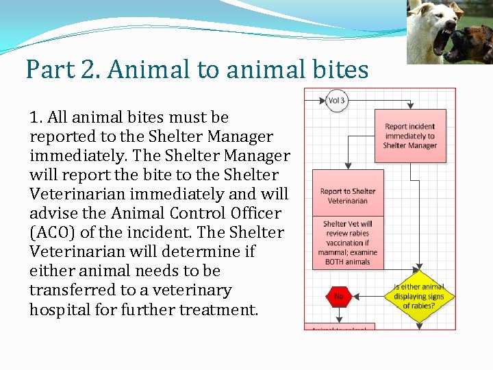 Part 2. Animal to animal bites 1. All animal bites must be reported to
