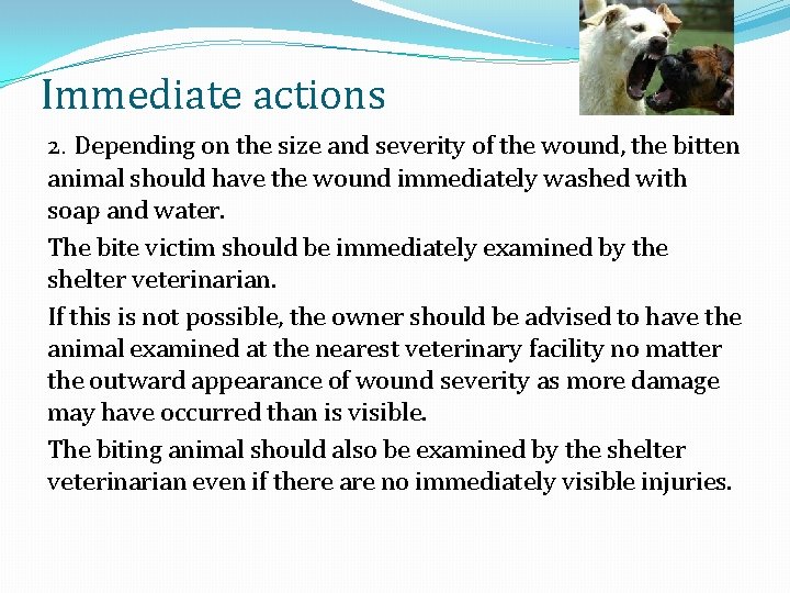 Immediate actions 2. Depending on the size and severity of the wound, the bitten