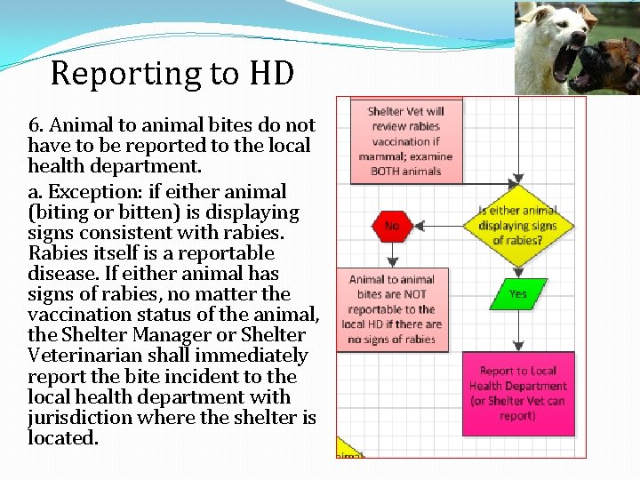 Reporting to HD 6. Animal to animal bites do not have to be reported