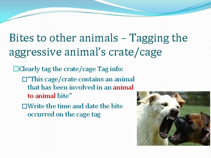 Bites to other animals – Tagging the aggressive animal’s crate/cage �Clearly tag the crate/cage