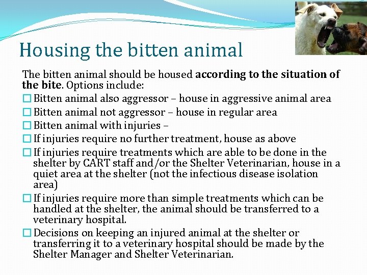 Housing the bitten animal The bitten animal should be housed according to the situation