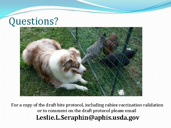 Questions? For a copy of the draft bite protocol, including rabies vaccination validation or