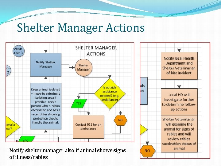 Shelter Manager Actions Notify shelter manager also if animal shows signs of illness/rabies 