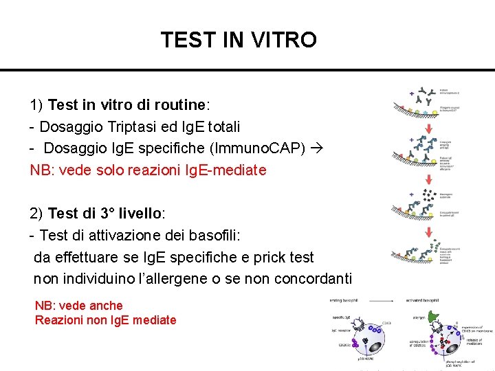 TEST IN VITRO 1) Test in vitro di routine: - Dosaggio Triptasi ed Ig.