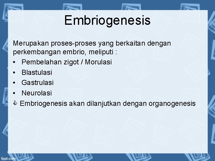 Embriogenesis Merupakan proses-proses yang berkaitan dengan perkembangan embrio, meliputi : • Pembelahan zigot /