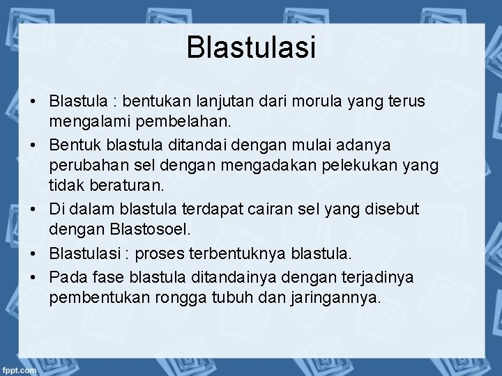 Blastulasi • Blastula : bentukan lanjutan dari morula yang terus mengalami pembelahan. • Bentuk