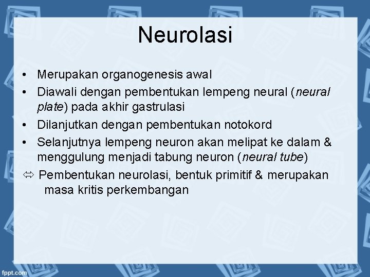 Neurolasi • Merupakan organogenesis awal • Diawali dengan pembentukan lempeng neural (neural plate) pada
