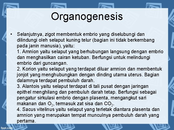 Organogenesis • Selanjutnya, zigot membentuk embrio yang diselubungi dan dilindungi oleh selaput kuning telur