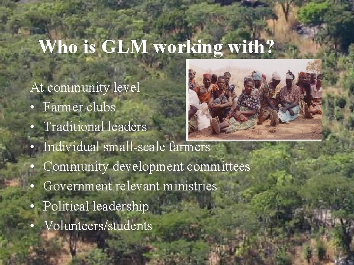 Who is GLM working with? At community level • Farmer clubs • Traditional leaders