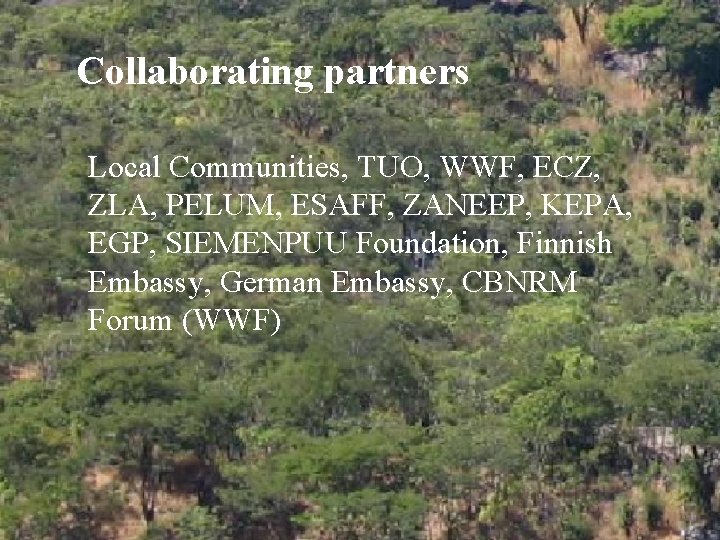 Collaborating partners Local Communities, TUO, WWF, ECZ, ZLA, PELUM, ESAFF, ZANEEP, KEPA, EGP, SIEMENPUU