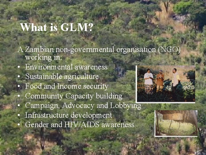 What is GLM? A Zambian non-governmental organisation (NGO) working in: • Environmental awareness •