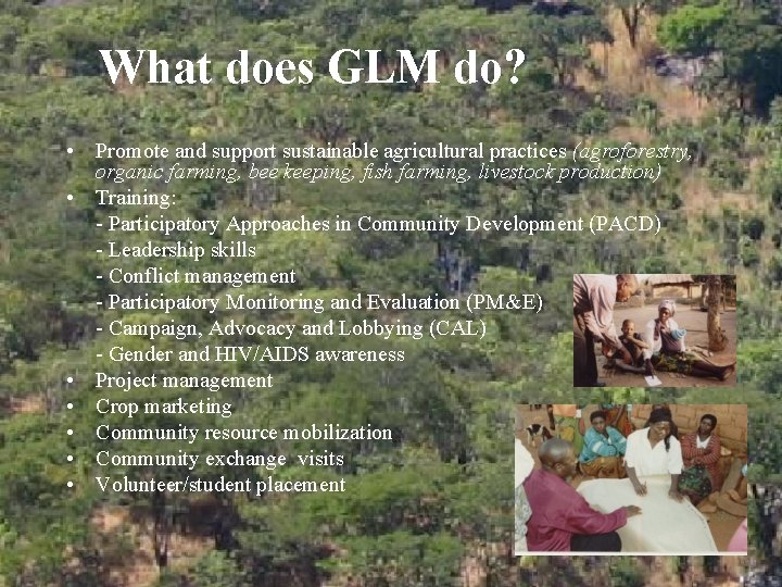 What does GLM do? • Promote and support sustainable agricultural practices (agroforestry, organic farming,