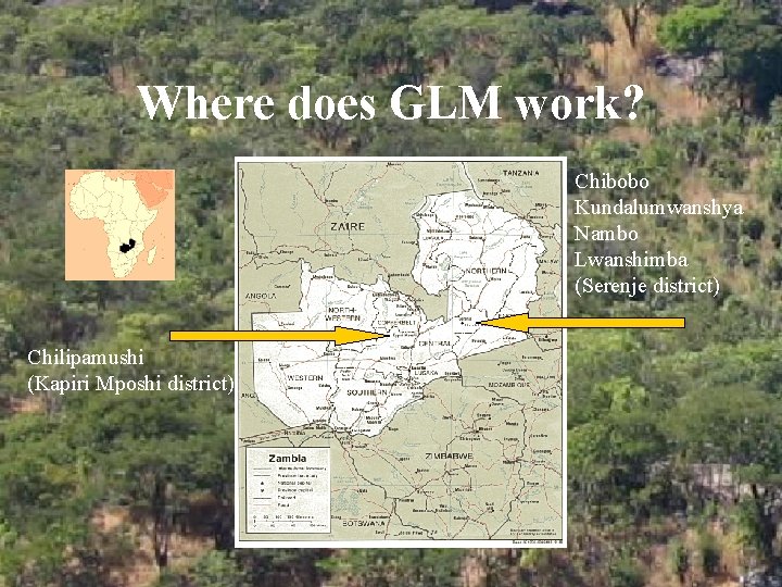 Where does GLM work? Chibobo Kundalumwanshya Nambo Lwanshimba (Serenje district) Chilipamushi (Kapiri Mposhi district)