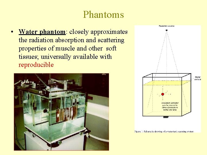 Phantoms • Water phantom: closely approximates the radiation absorption and scattering properties of muscle
