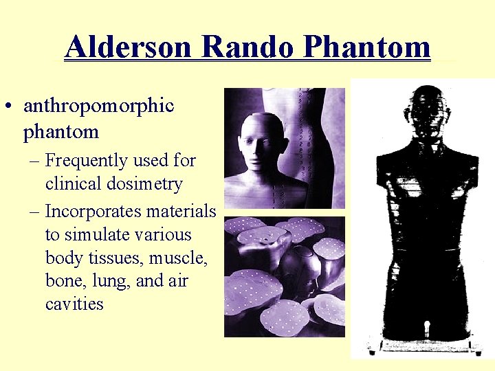 Alderson Rando Phantom • anthropomorphic phantom – Frequently used for clinical dosimetry – Incorporates