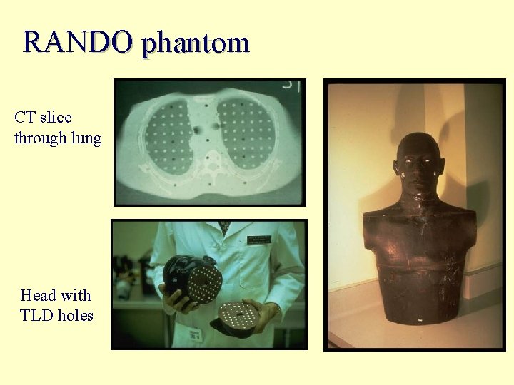 RANDO phantom CT slice through lung Head with TLD holes 