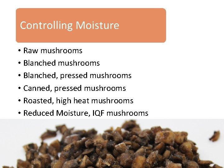 Controlling Moisture • Raw mushrooms • Blanched, pressed mushrooms • Canned, pressed mushrooms •