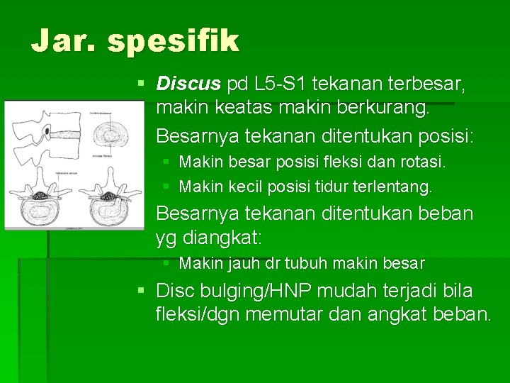 Jar. spesifik § Discus pd L 5 -S 1 tekanan terbesar, makin keatas makin