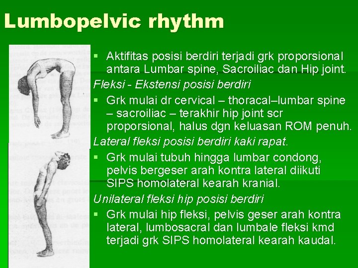 Lumbopelvic rhythm § Aktifitas posisi berdiri terjadi grk proporsional antara Lumbar spine, Sacroiliac dan