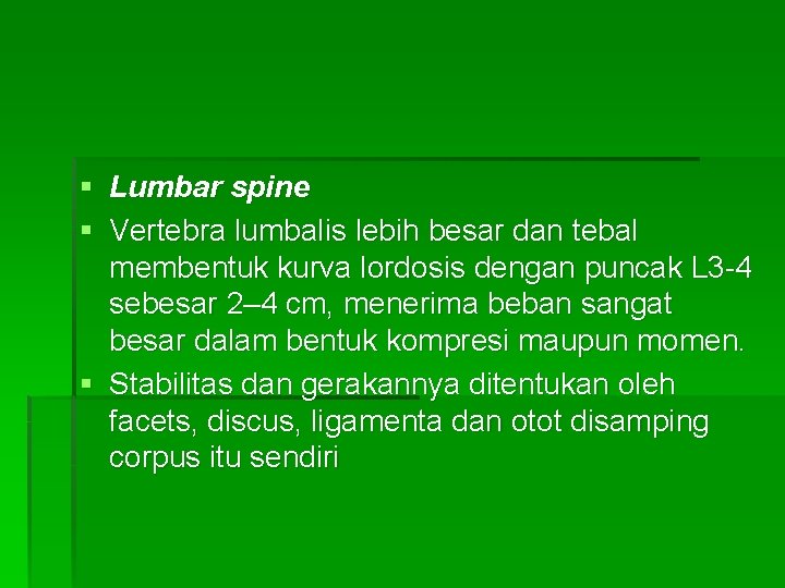 § Lumbar spine § Vertebra lumbalis lebih besar dan tebal membentuk kurva lordosis dengan