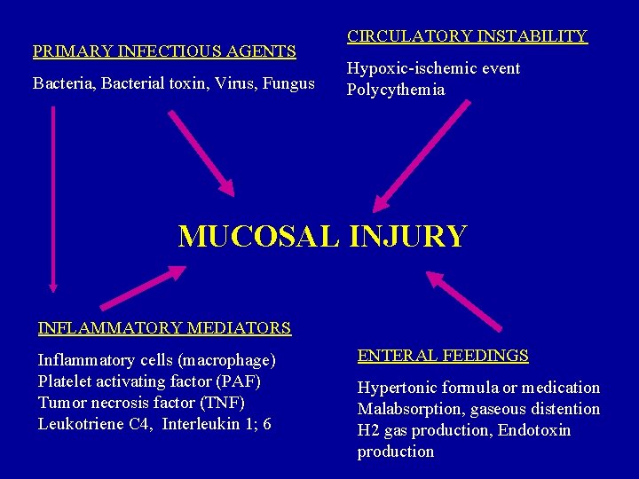 PRIMARY INFECTIOUS AGENTS Bacteria, Bacterial toxin, Virus, Fungus CIRCULATORY INSTABILITY Hypoxic-ischemic event Polycythemia MUCOSAL