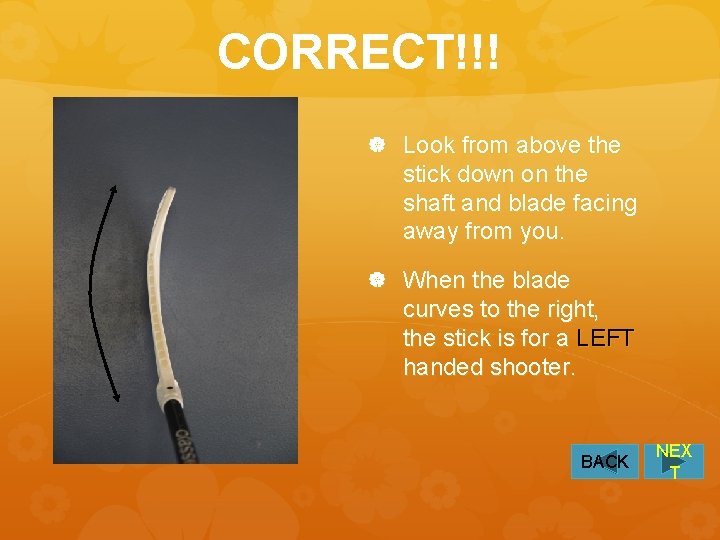 CORRECT!!! Look from above the stick down on the shaft and blade facing away