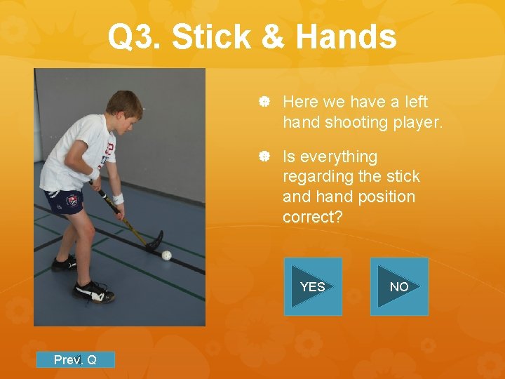 Q 3. Stick & Hands Here we have a left hand shooting player. Is