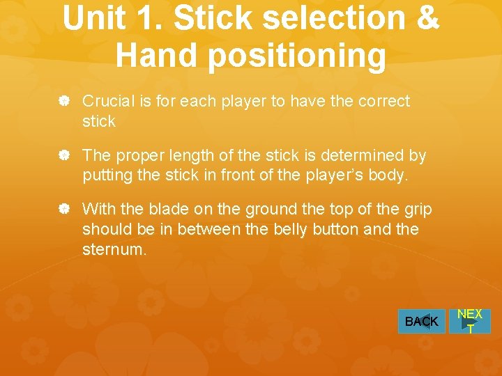 Unit 1. Stick selection & Hand positioning Crucial is for each player to have