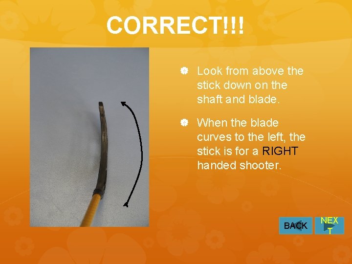 CORRECT!!! Look from above the stick down on the shaft and blade. When the