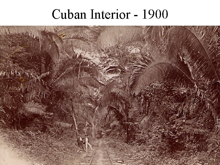 Cuban Interior - 1900 