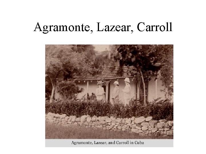 Agramonte, Lazear, Carroll 