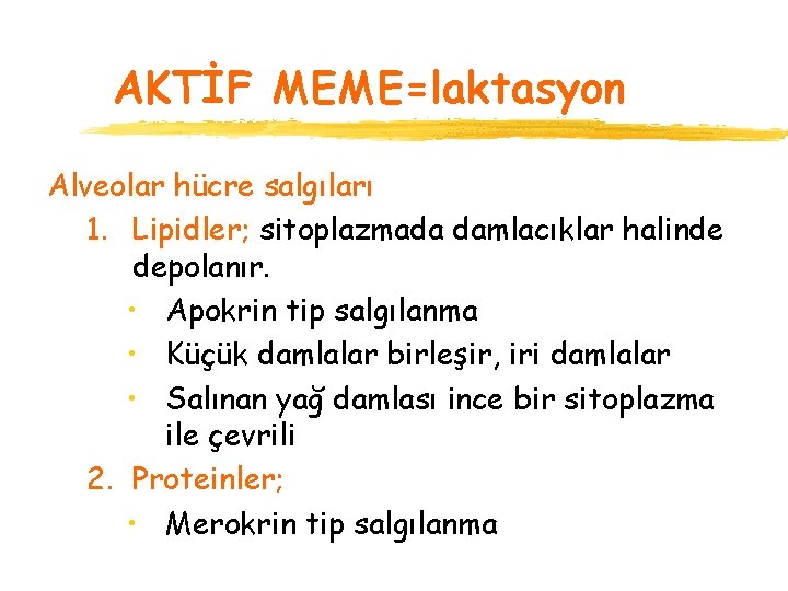 AKTİF MEME=laktasyon Alveolar hücre salgıları 1. Lipidler; sitoplazmada damlacıklar halinde depolanır. • Apokrin tip