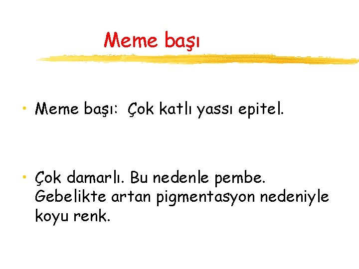 Meme başı • Meme başı: Çok katlı yassı epitel. • Çok damarlı. Bu nedenle
